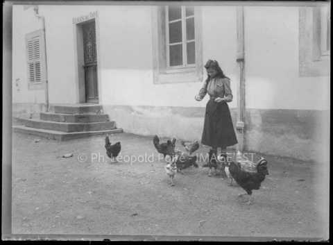Jeune femme nourrissant des poules (Bussang ?)